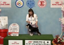 ブラウくんサムネイル