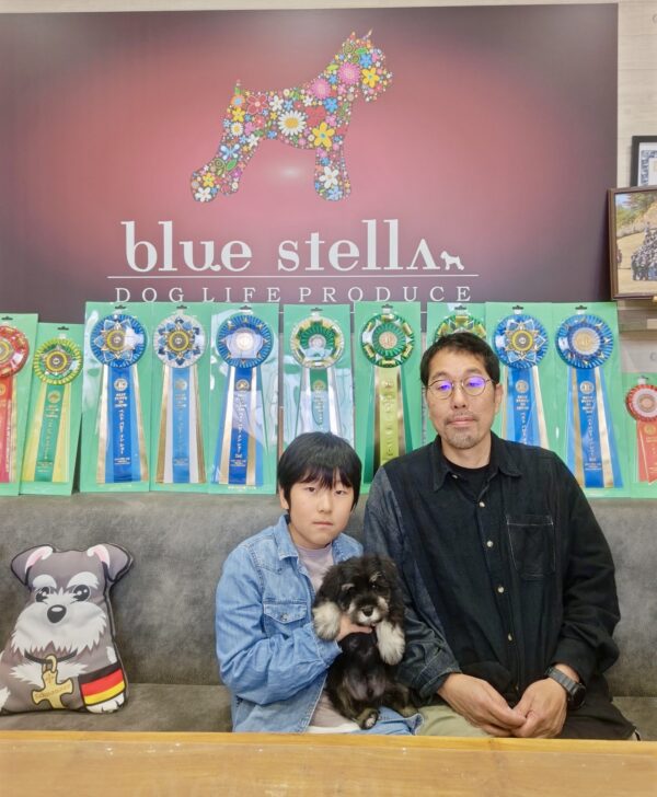 巣立って行ったステラっ子サムネイル