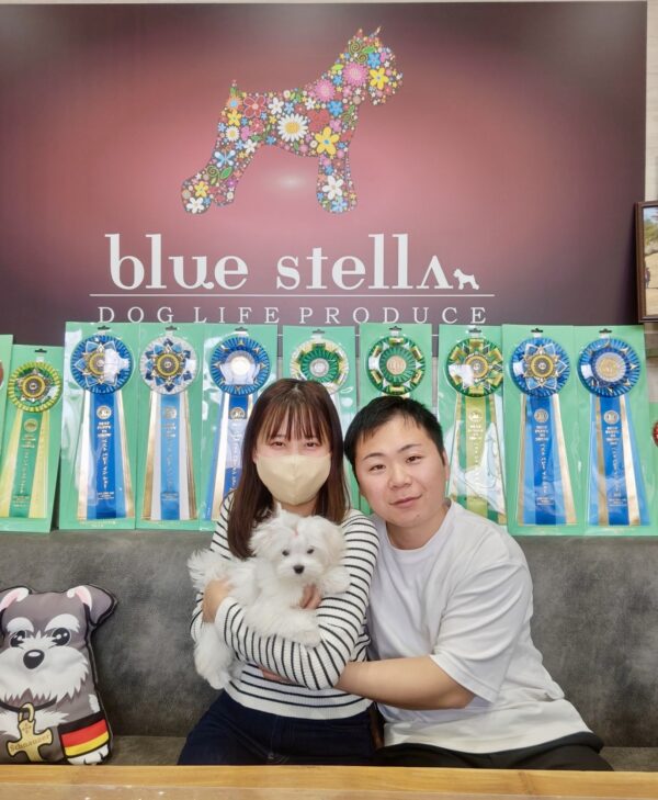 巣立って行ったステラっ子サムネイル