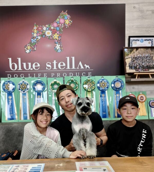巣立って行ったステラっ子サムネイル
