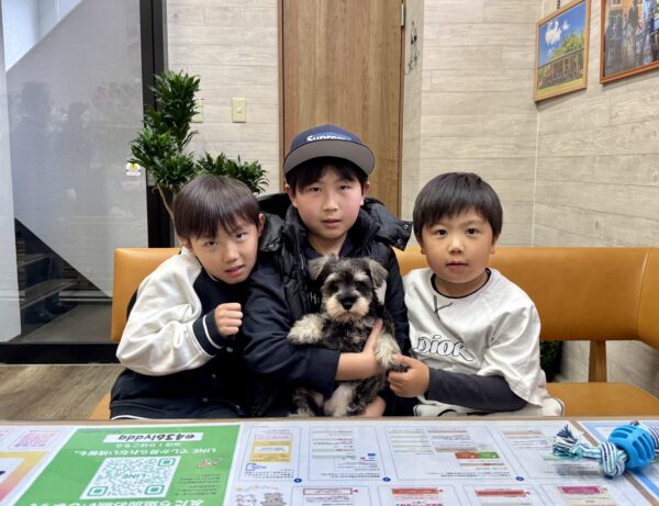 巣立って行ったステラっ子サムネイル
