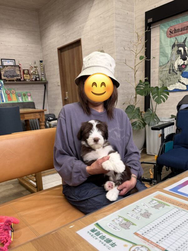 巣立って行ったステラっ子サムネイル