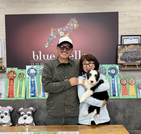 巣立って行ったステラっ子サムネイル