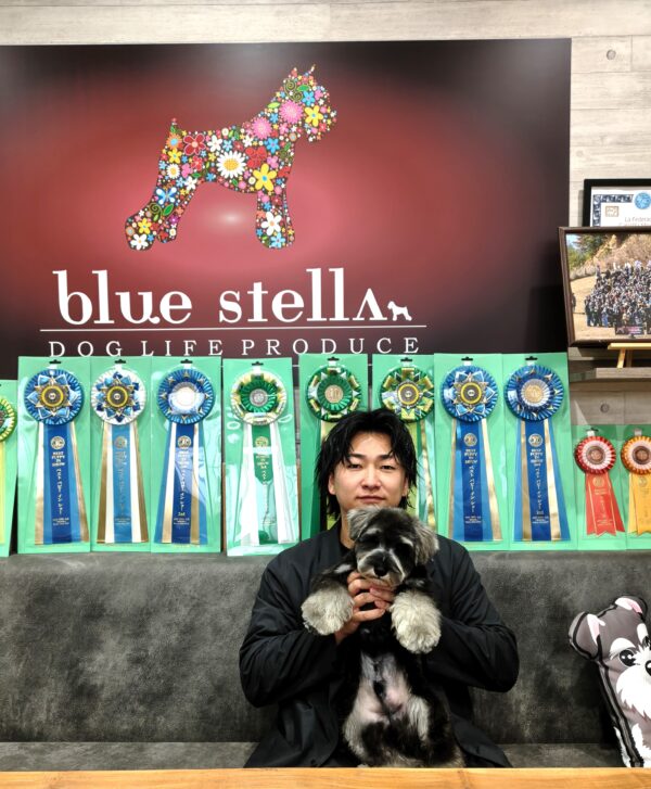 巣立って行ったステラっ子サムネイル