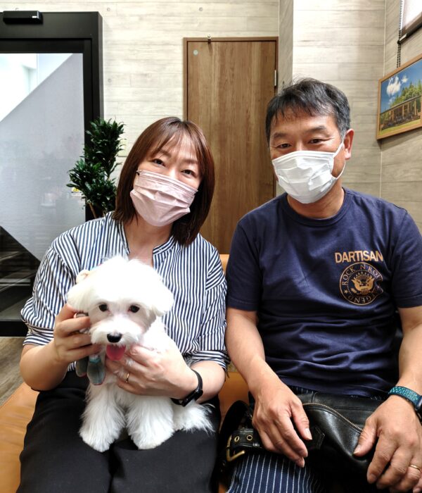 巣立って行ったステラっ子サムネイル