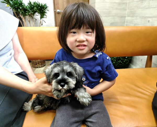 巣立って行ったステラっ子サムネイル