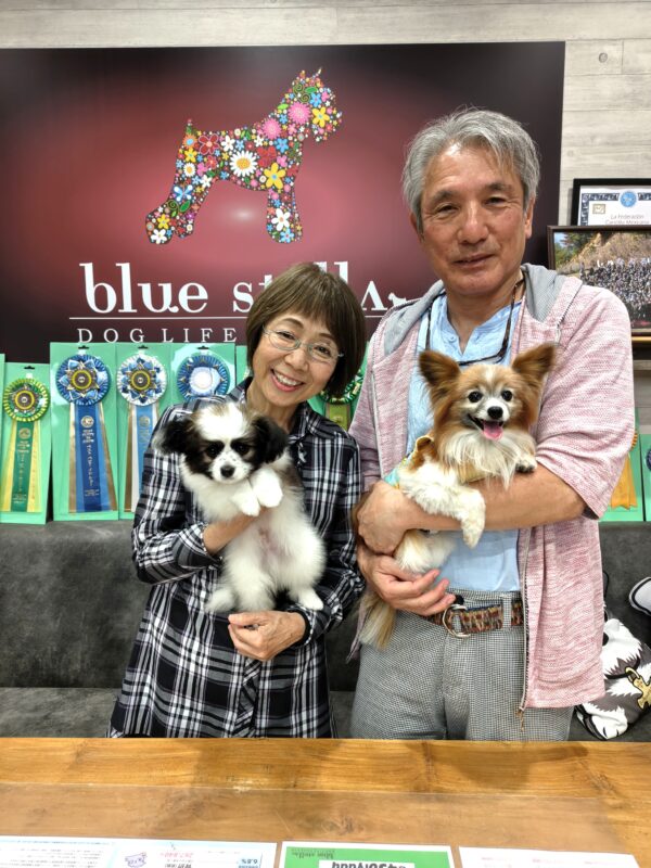巣立って行ったステラっ子サムネイル