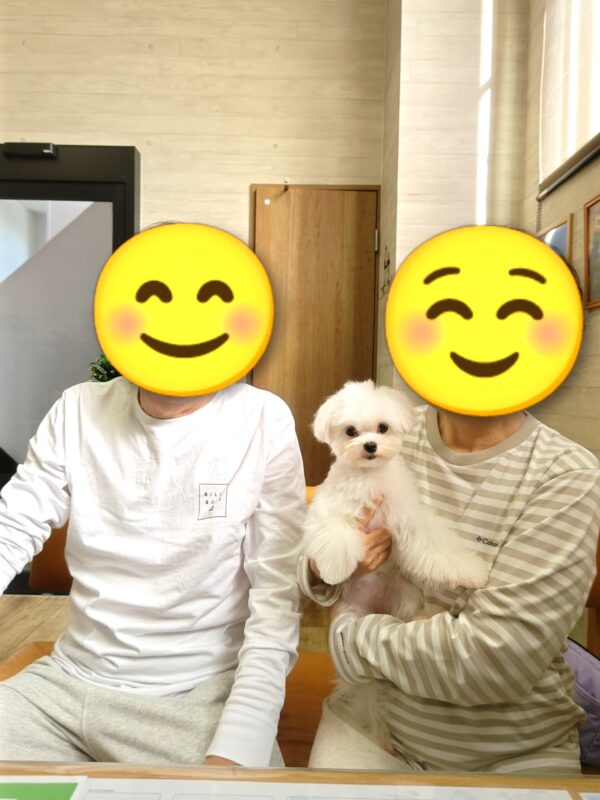 巣立って行ったステラっ子サムネイル