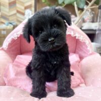 ８