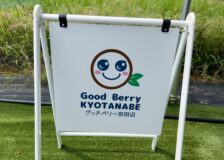 ブルーベリー狩りサムネイル