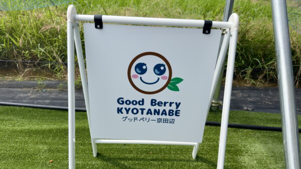 ブルーベリー狩りサムネイル