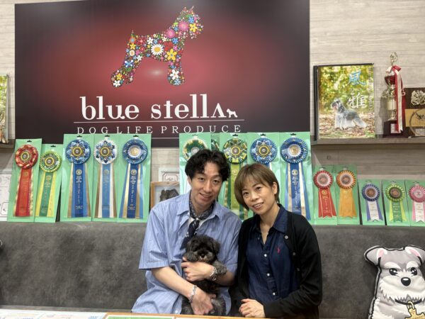 巣立って行ったステラっ子サムネイル