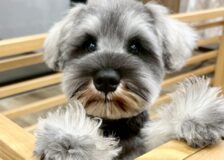 こんな可愛い子がいたんだ❣サムネイル
