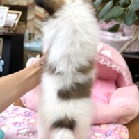 IMG_9271