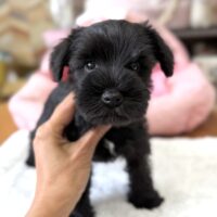 ６
