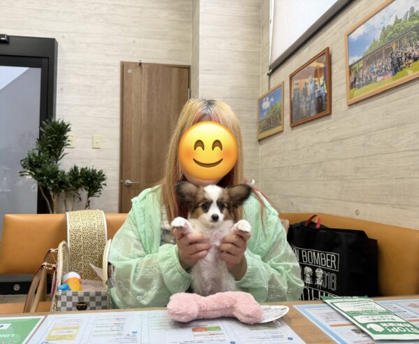 巣立って行ったステラっ子サムネイル