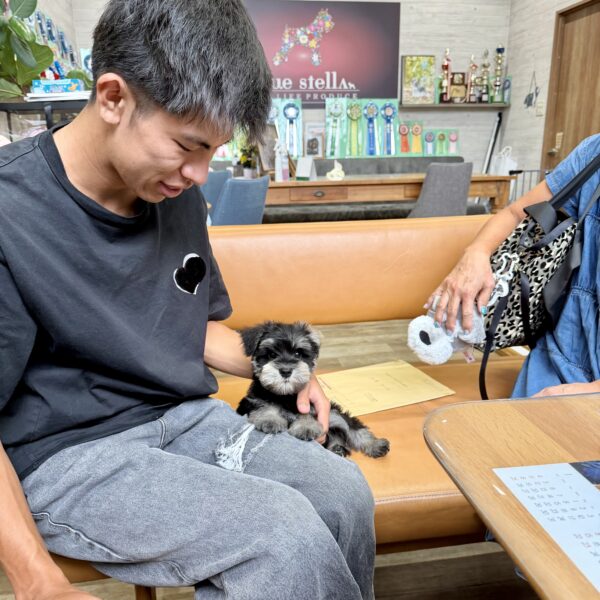 巣立って行ったステラっ子サムネイル