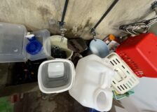 dogショーの準備サムネイル
