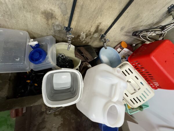 dogショーの準備サムネイル