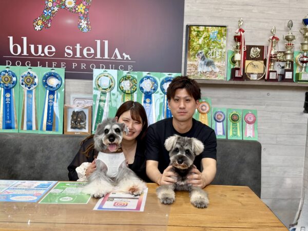 巣立って行ったステラっ子サムネイル