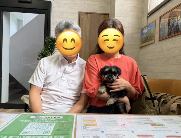 巣立って行ったステラっ子サムネイル