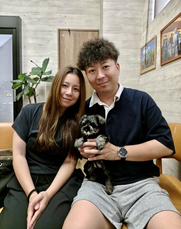 巣立って行ったステラっ子サムネイル
