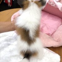 ９