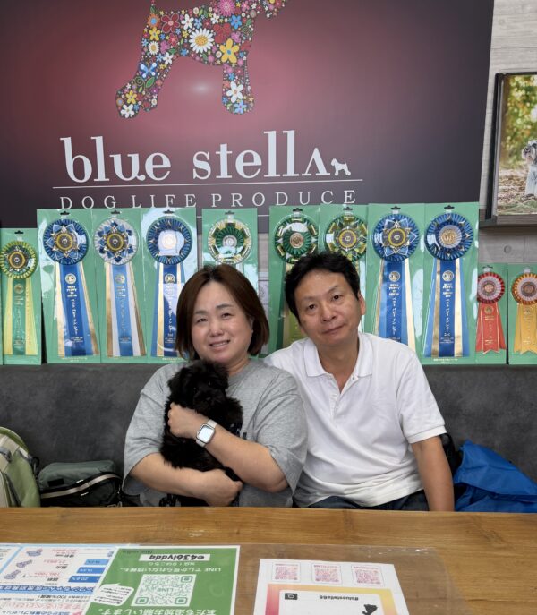 巣立って行ったステラっ子サムネイル