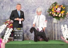 ふたり同時にチャンピオン完成サムネイル