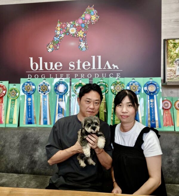 巣立って行ったステラっ子サムネイル