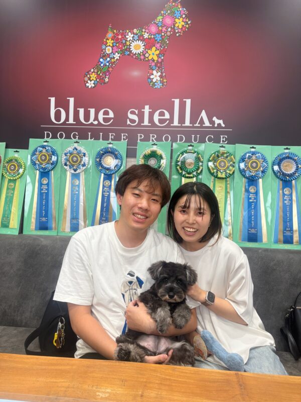 巣立って行ったステラっ子サムネイル