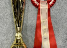 スイスチャンピオン完成！サムネイル